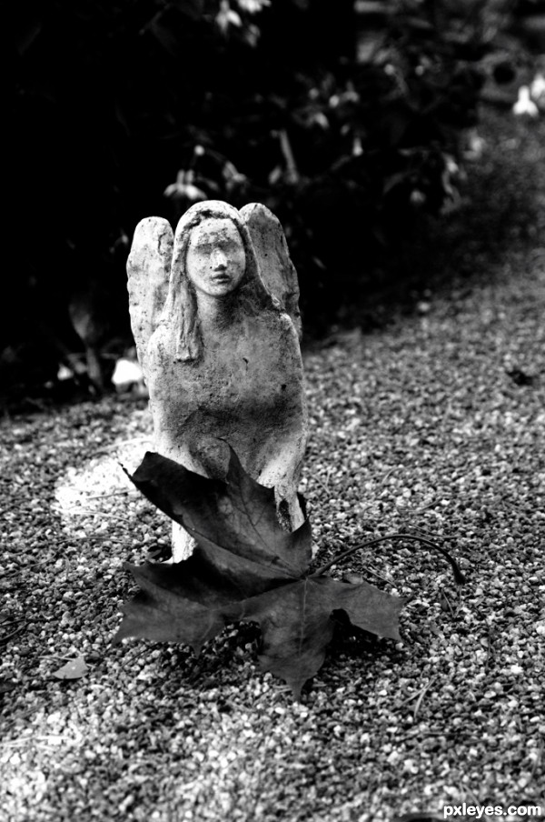 Angel of Stone