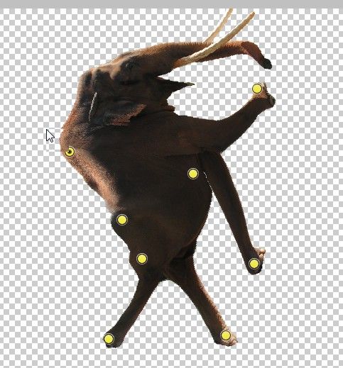 Creation of GERONIMOOOOOOOOOOO!!!!: Step 4