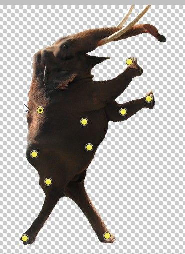 Creation of GERONIMOOOOOOOOOOO!!!!: Step 5