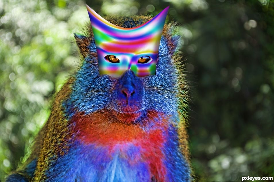 Monkey Rainbow Mutant