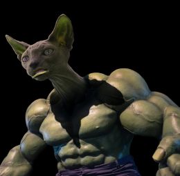 Hulky Cat Picture