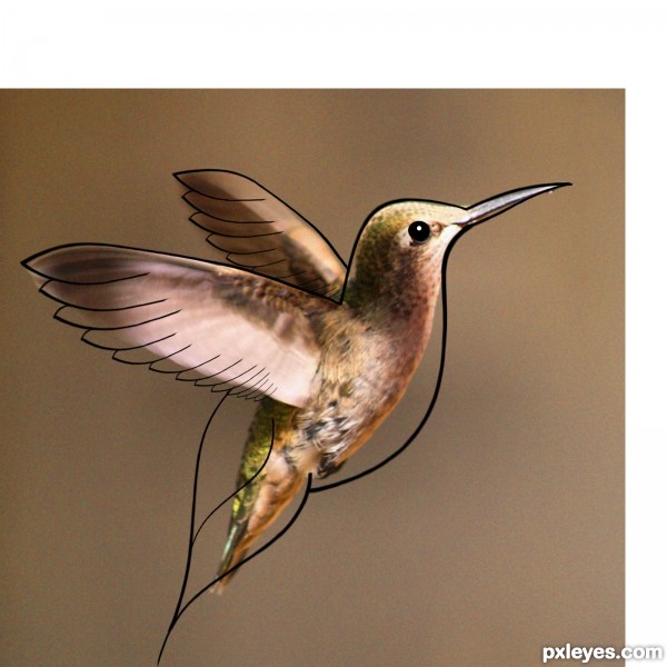 Creation of hummingbird: Step 2