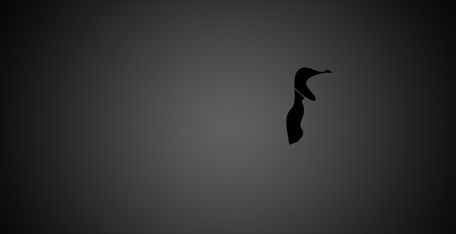Creation of Penguin Records: Step 1
