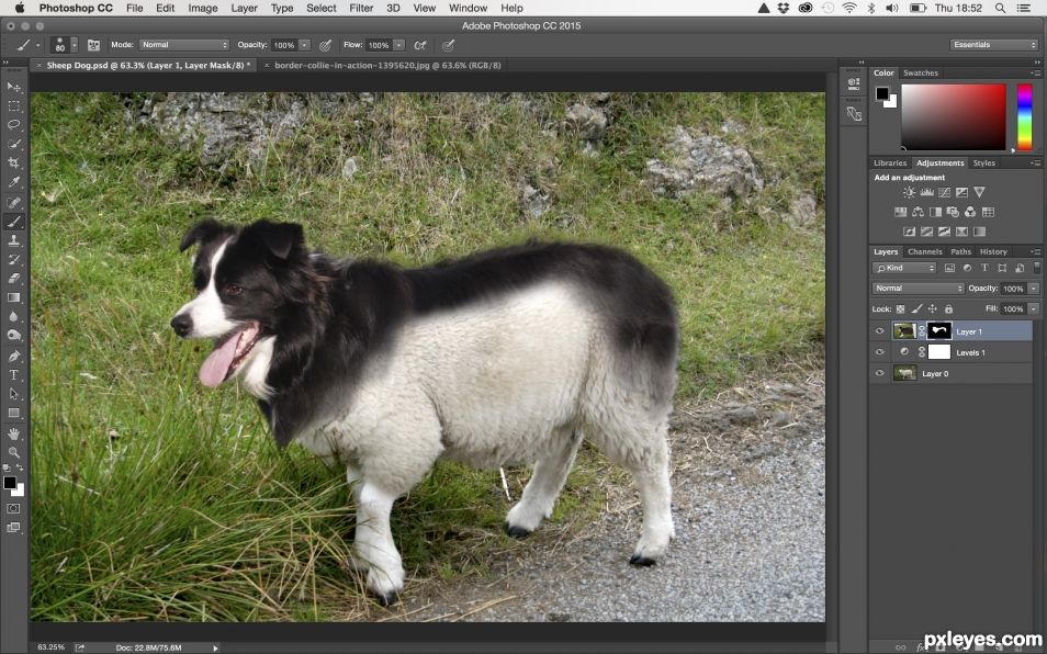 Creation of Sheep Dog: Step 3