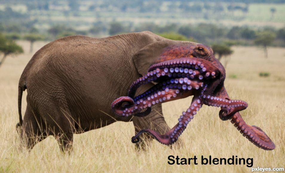 Creation of Octophant: Step 3