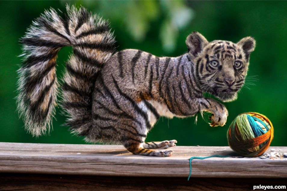 Creation of Tiger Squirrel: Step 8