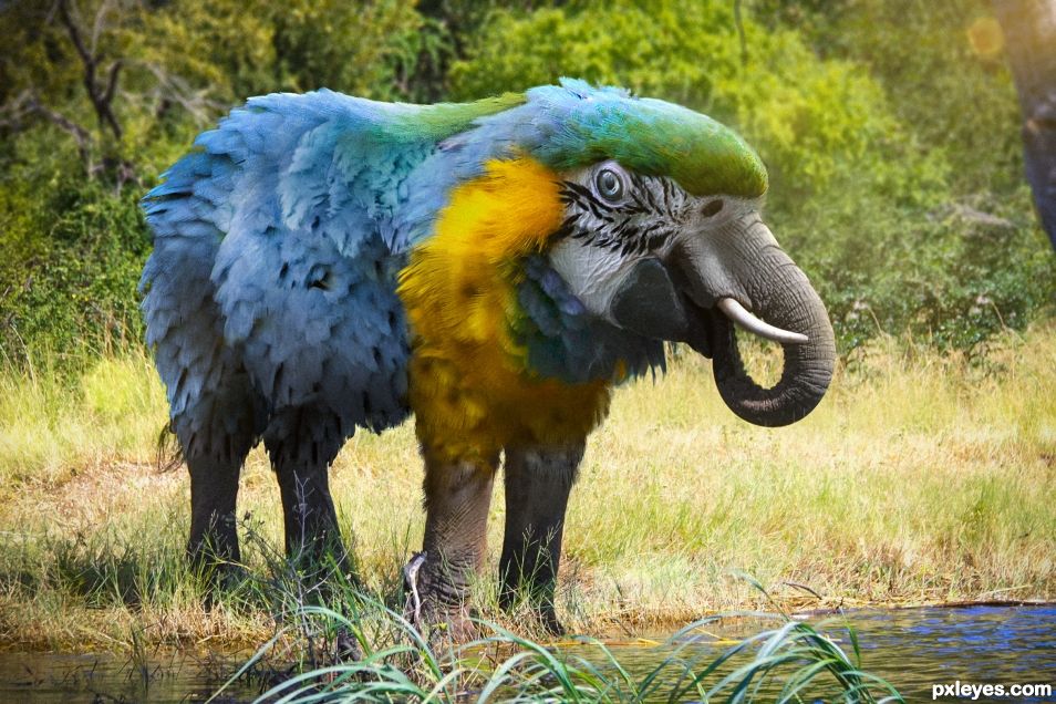 Parrophant