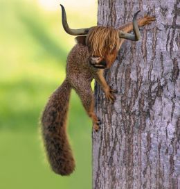 Squirryak
