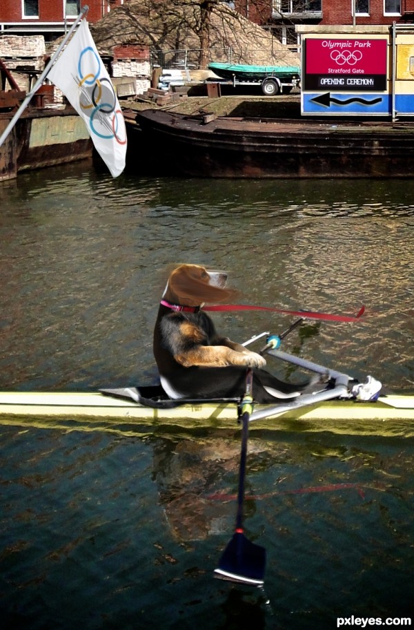 Rowing for Rawhides