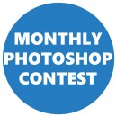 animal olympics photography contest