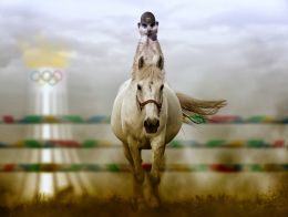 Meerkat dressage Picture