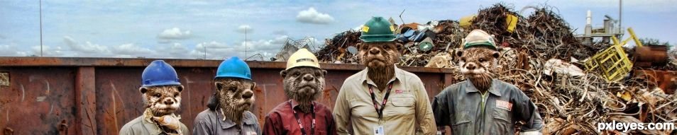 Otter Waste Management