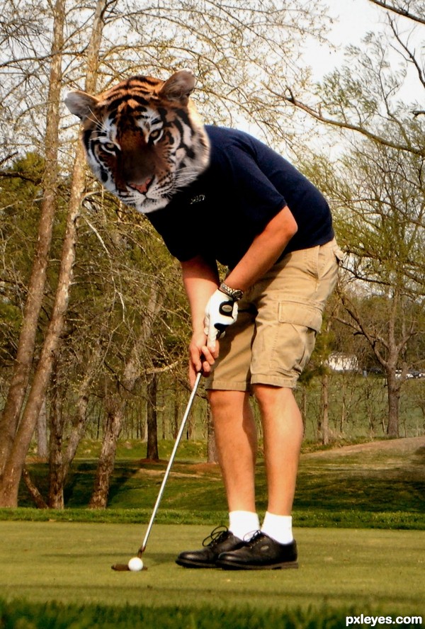 TIGER in the WOODS