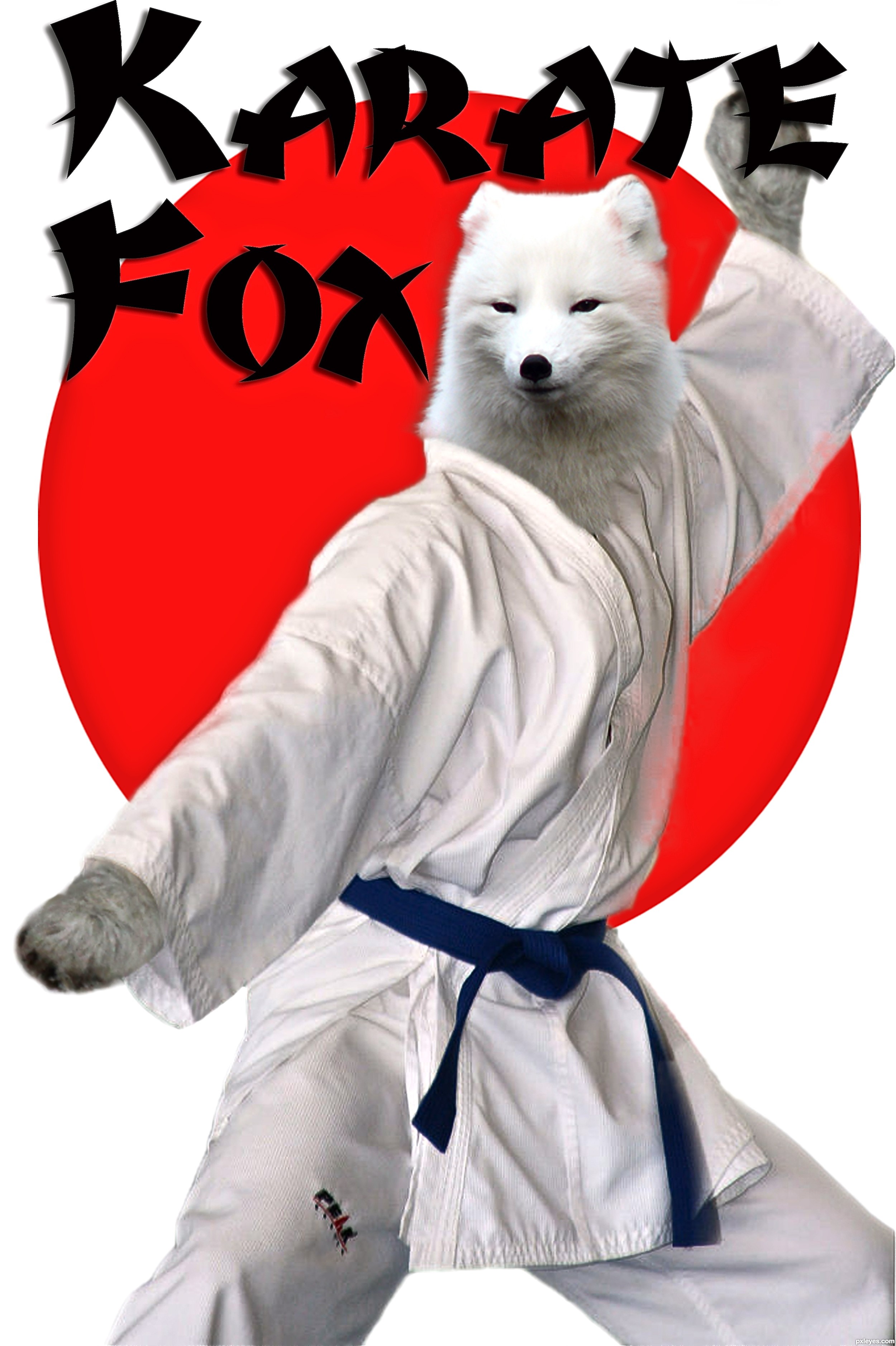 Bildresultat för floofy fox