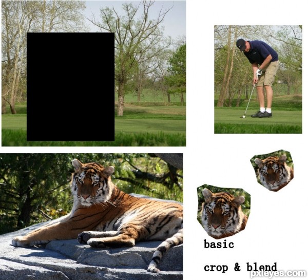 Creation of TIGER in the WOODS: Step 1