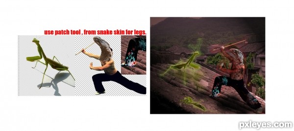 Creation of Cobra vs ?: Step 1