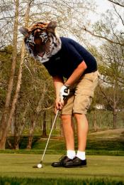 TIGER in the WOODS