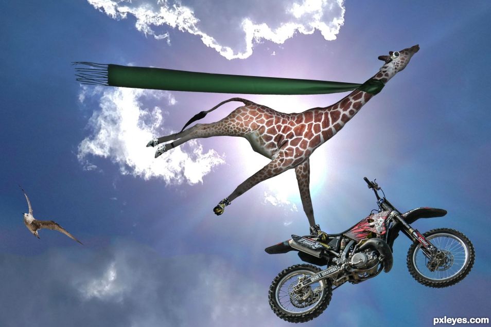 Stunt Giraffe