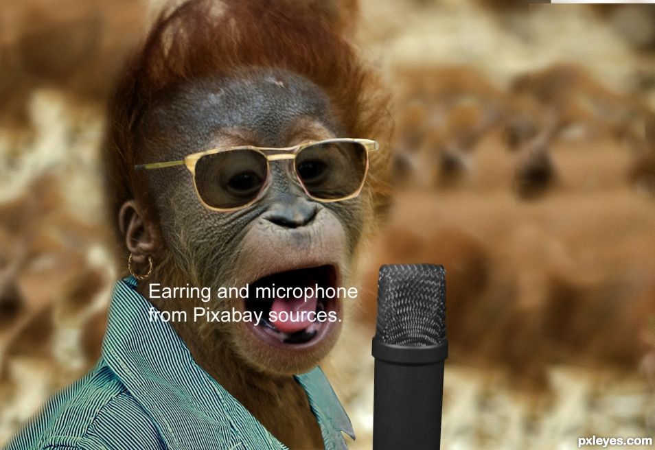 Creation of Underdog Orangutan Singer Wins Animals Have Talent 2: Step 4