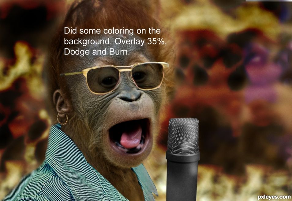 Creation of Underdog Orangutan Singer Wins Animals Have Talent 2: Step 5