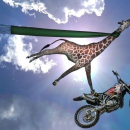 StuntGiraffe