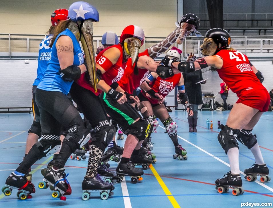 Creation of Roller Derby: Final Result