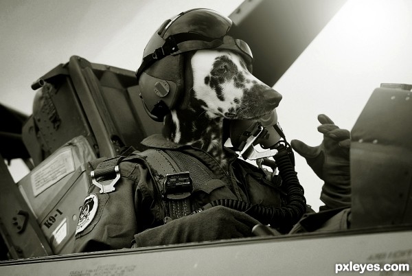 Air Force Pilot 