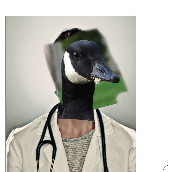 Creation of My Ducktor: Step 1