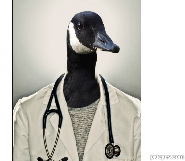 Creation of My Ducktor: Step 2