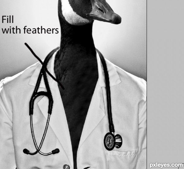 Creation of My Ducktor: Step 3