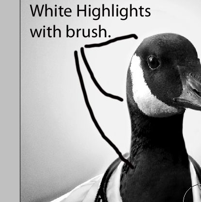 Creation of My Ducktor: Step 4