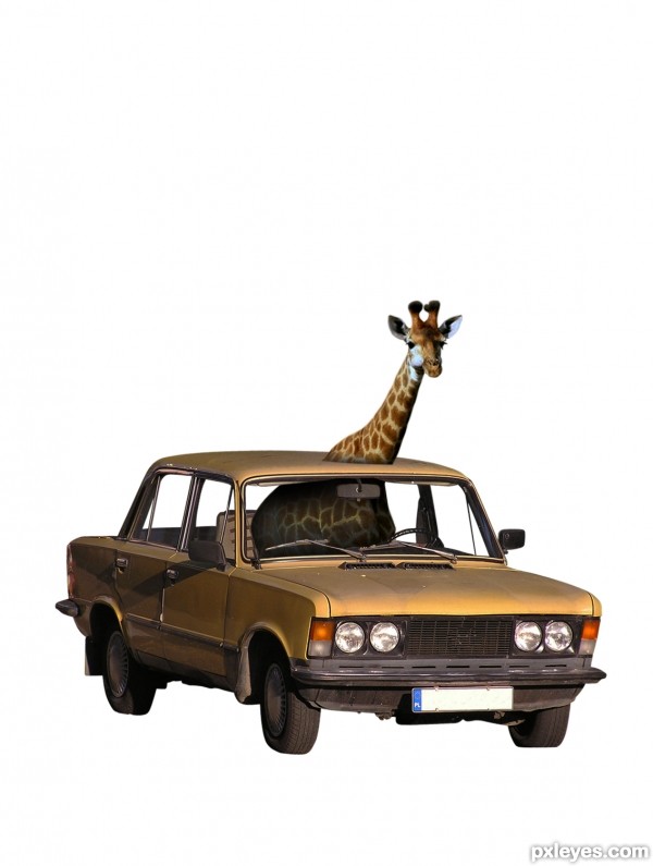 Creation of Pizza Delivery Giraffe: Step 2