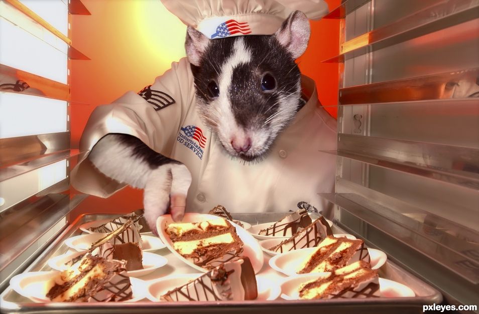 rat chef