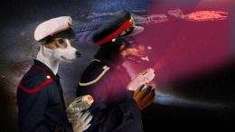 Dogstrek