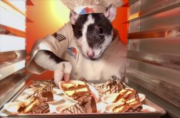 rat chef