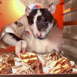 ratchef