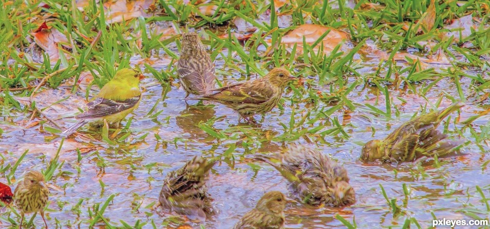 splish splash we were taking a bath 