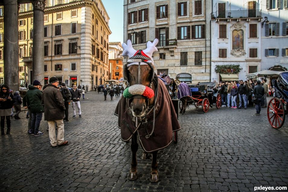 Christmas time at Pantheon