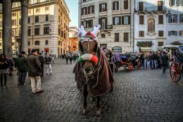 Christmas time at Pantheon