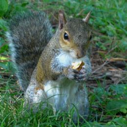 breakfasttime