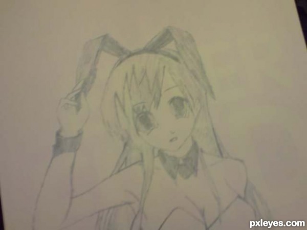Creation of Anime bunny girl: Step 1