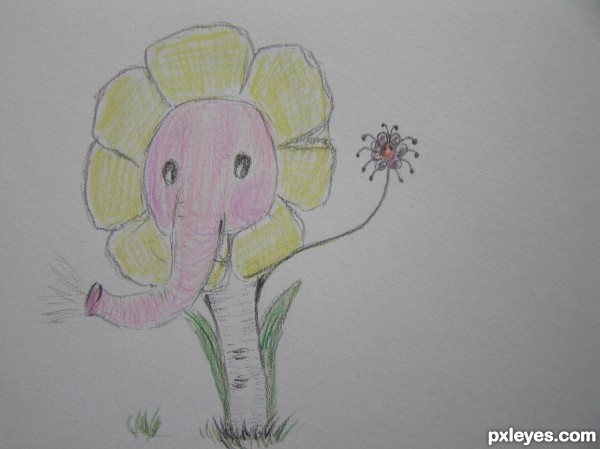 Creation of Pachydermii spidyflorus: Final Result