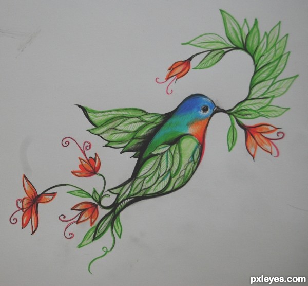 Creation of bird of "paradise": Final Result