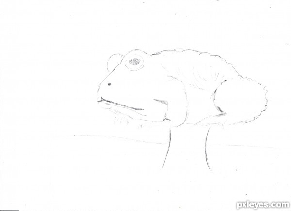 Creation of a "Toadstool": Step 1