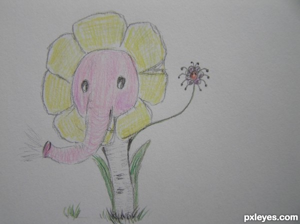 Creation of Pachydermii spidyflorus: Step 2