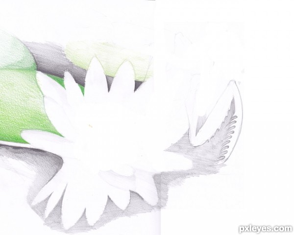 Creation of floromantis: Step 1