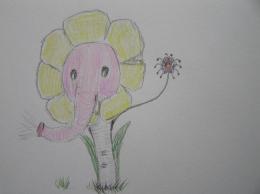 Pachydermii spidyflorus