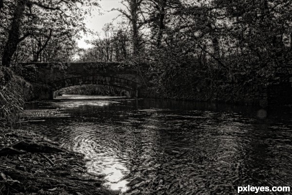 Bridge over Peaceful Waters