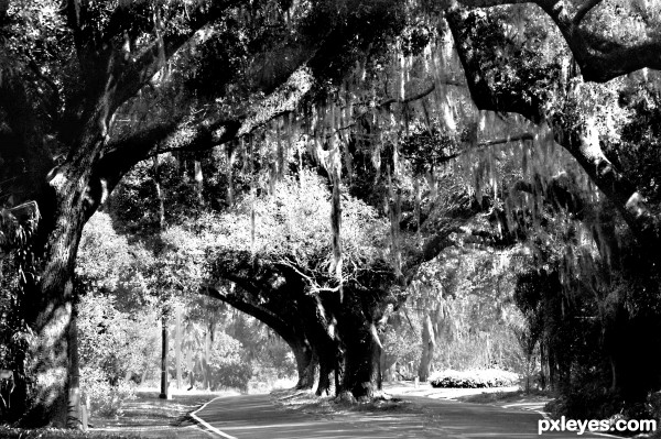 Landscape tunnel