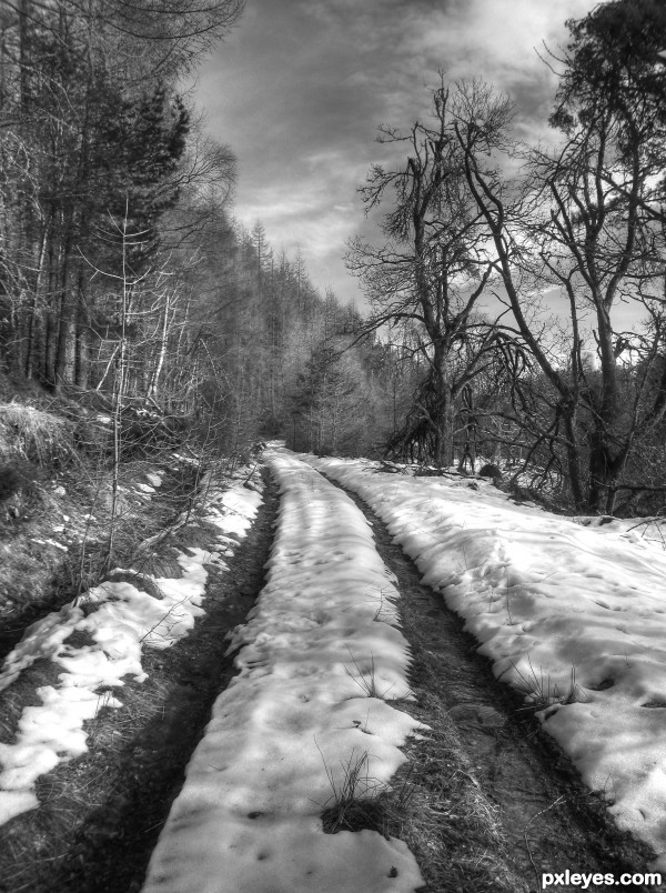 Snowy Trail photoshop picture)